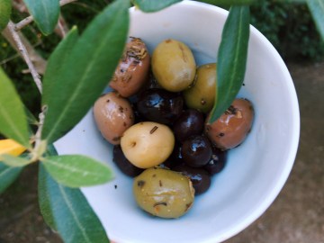 Processed with VSCO with c1 preset