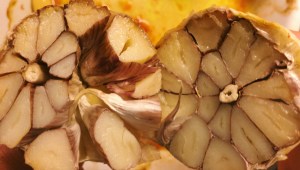 Processed with VSCO with c1 preset