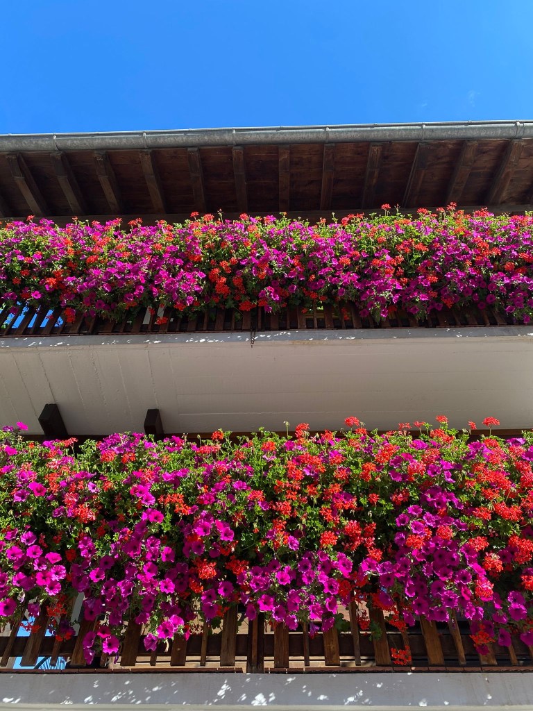 Hotel les Melezes les hauderes