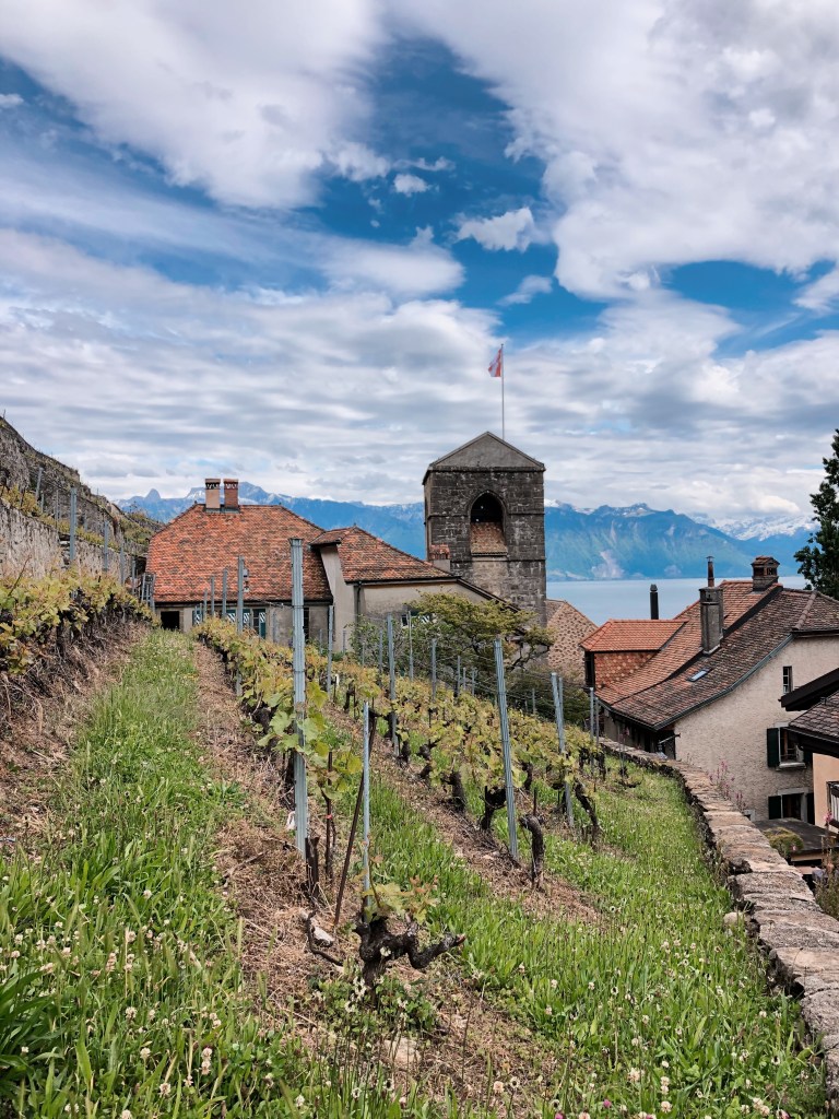Saint-Saphorin Lavaux